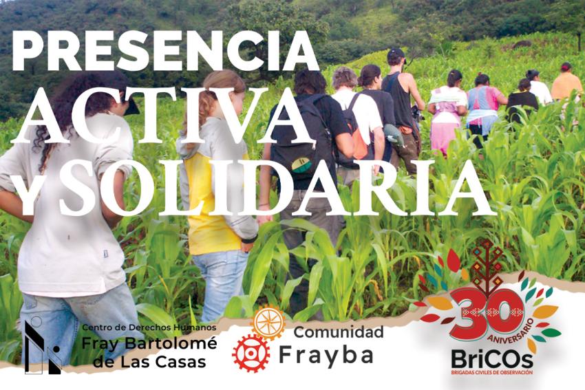 portada campaña bricos