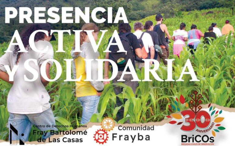 portada campaña bricos